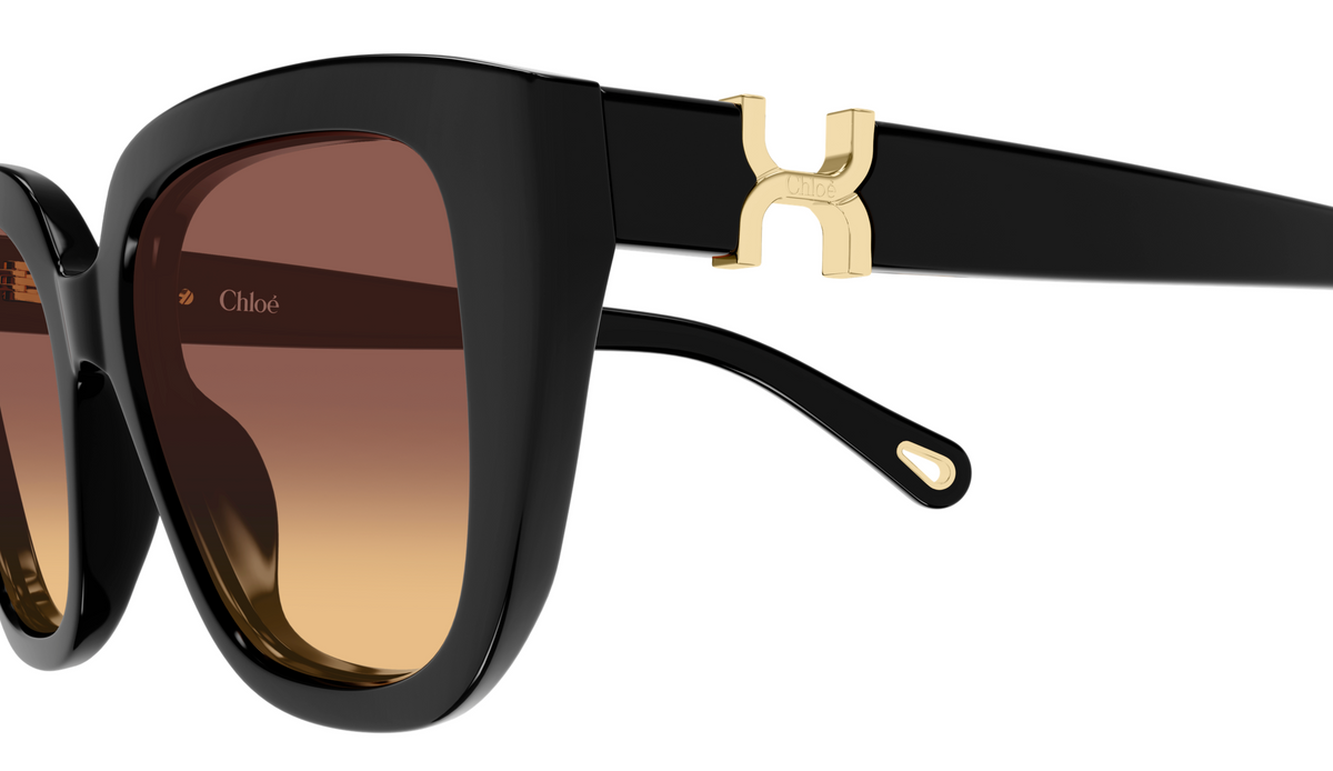 Sonnenbrille Chloé CH0410S