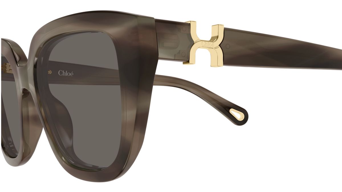 Sonnenbrille Chloé CH0410S