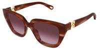 Sonnenbrille Chloé CH0410S