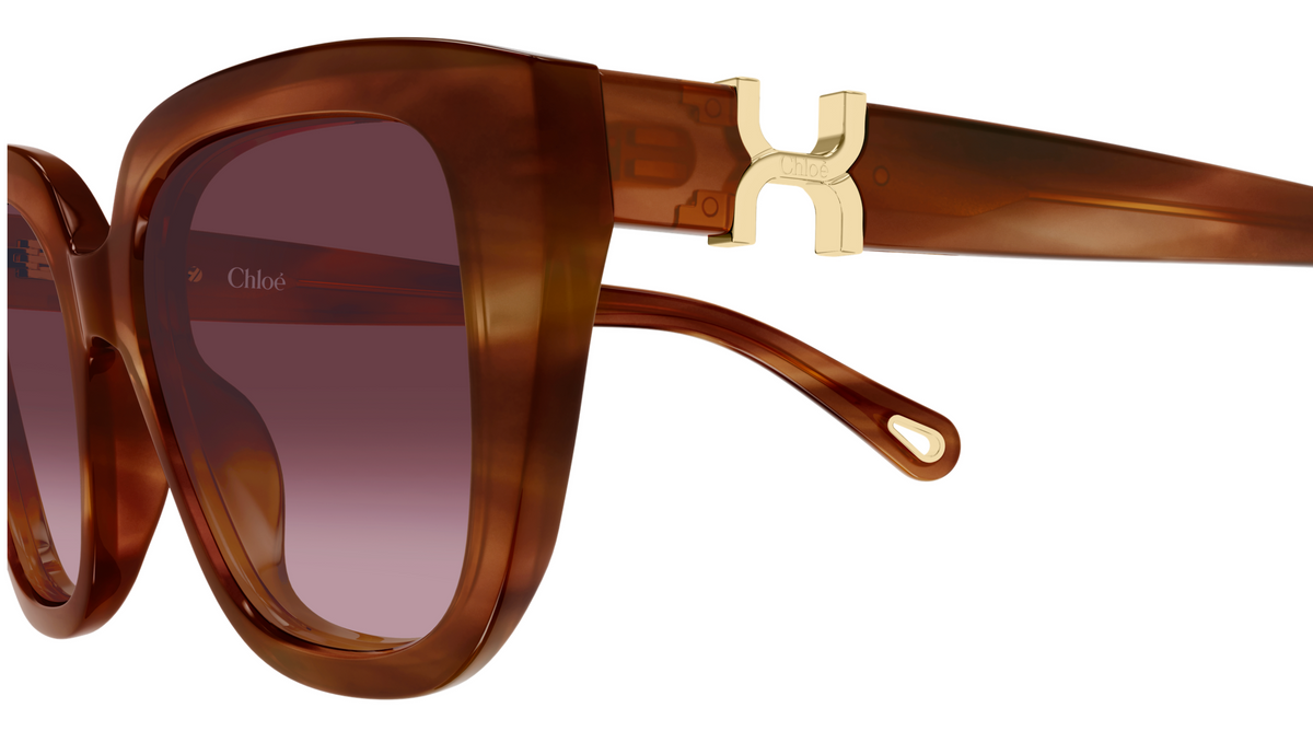 Sonnenbrille Chloé CH0410S