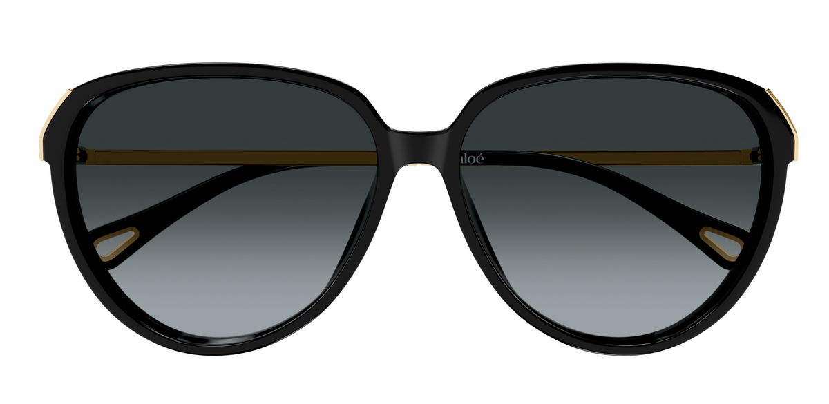 Chloé CH0406S sunglasses