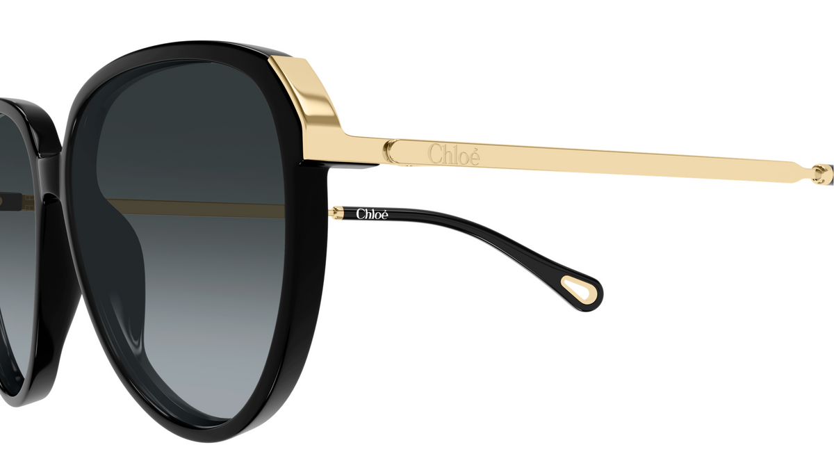 Chloé CH0406S sunglasses