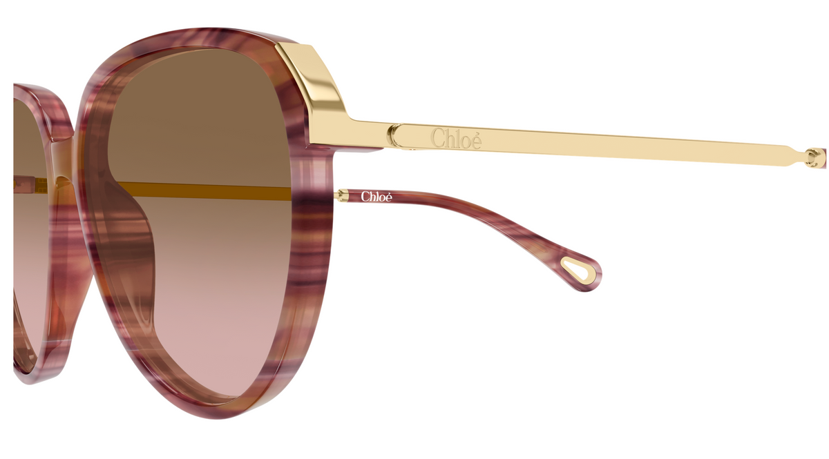 Chloé CH0406S sunglasses