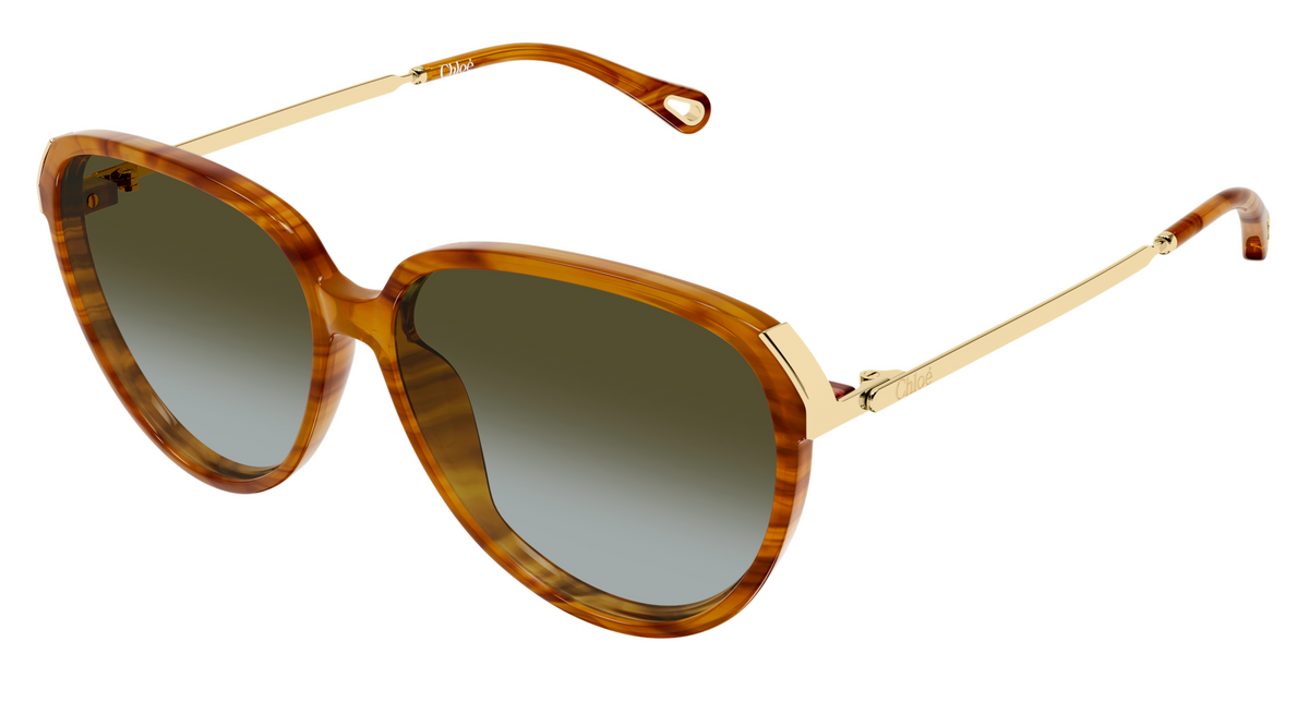 Chloé CH0406S sunglasses