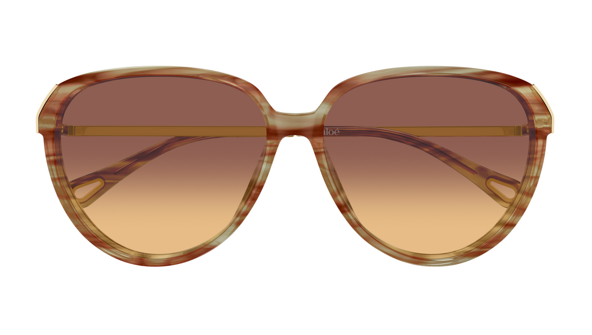 Chloé CH0406S sunglasses