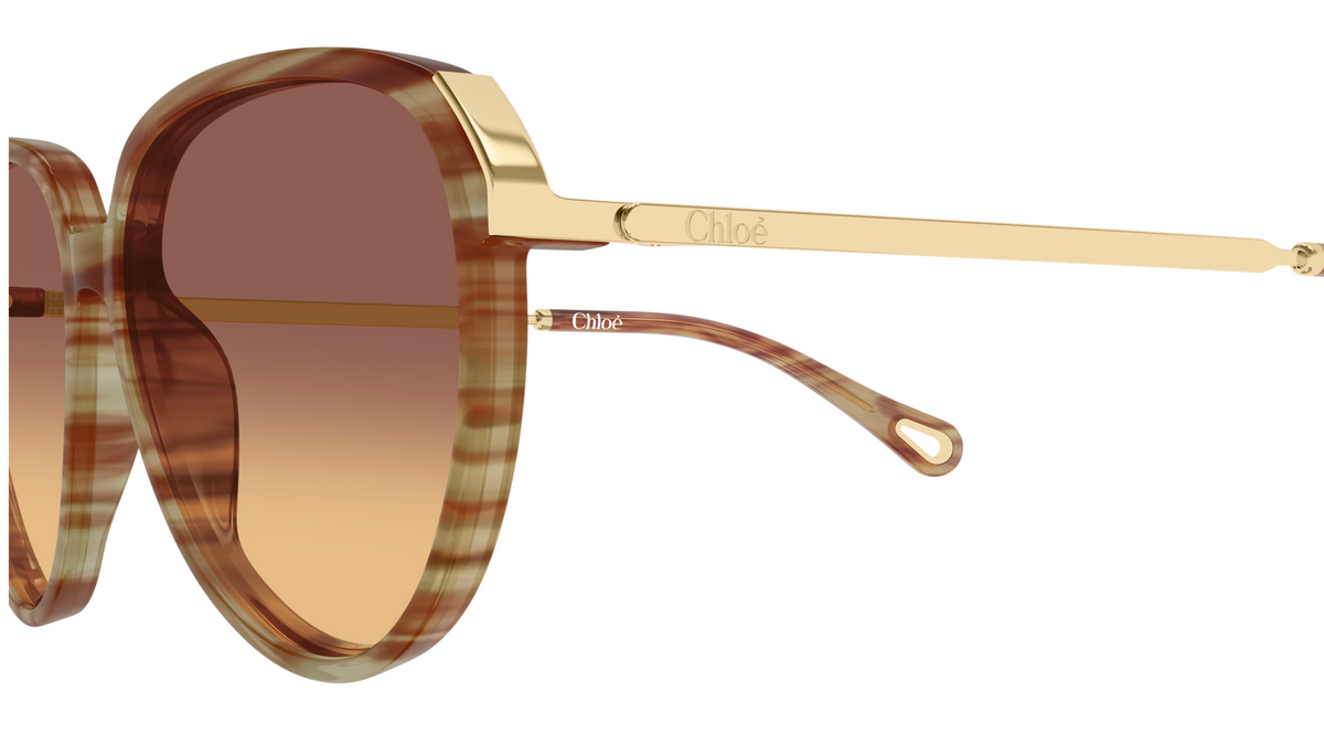 Chloé CH0406S sunglasses
