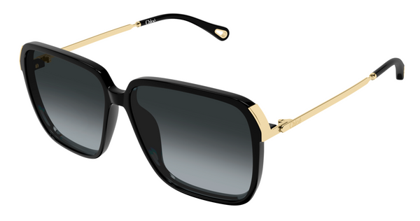 Chloé CH0405S sunglasses