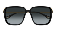 Chloé CH0405S sunglasses