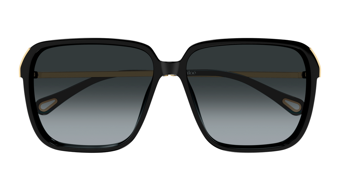 Chloé CH0405S sunglasses
