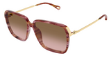 Chloé CH0405S sunglasses