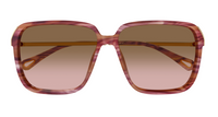 Chloé CH0405S sunglasses