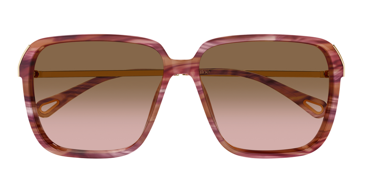 Chloé CH0405S sunglasses