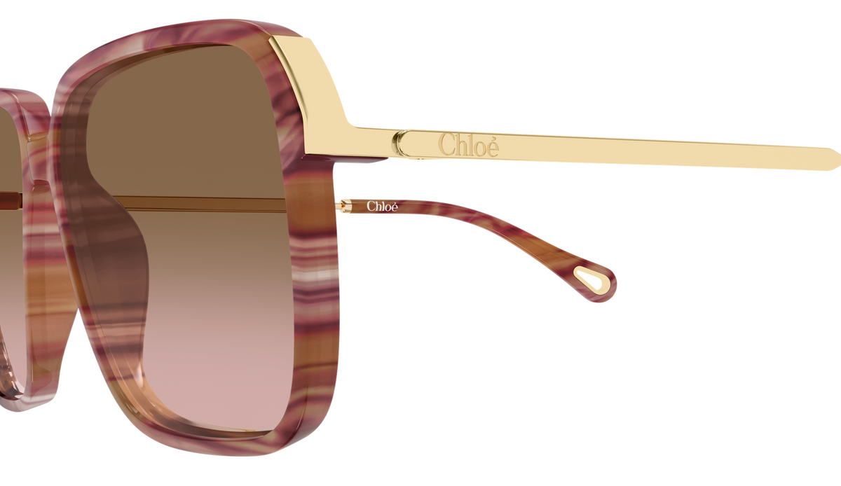 Chloé CH0405S sunglasses