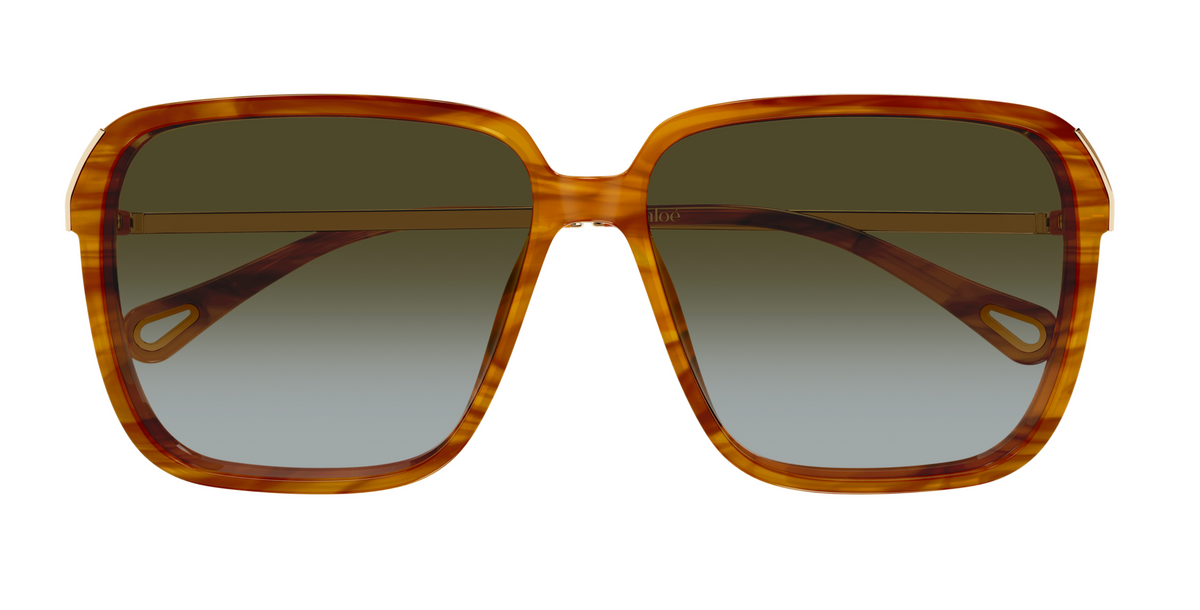 Chloé CH0405S sunglasses
