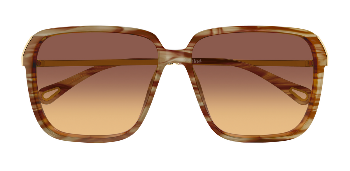 Chloé CH0405S sunglasses
