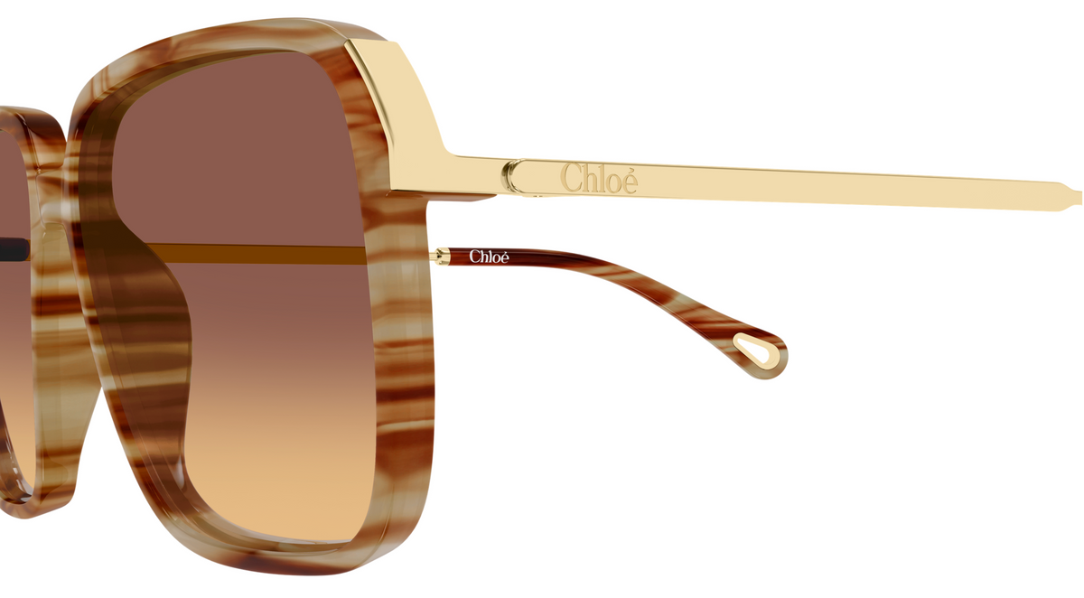Chloé CH0405S sunglasses