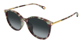 Chloé CH0397SK sunglasses