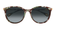 Chloé CH0397SK sunglasses