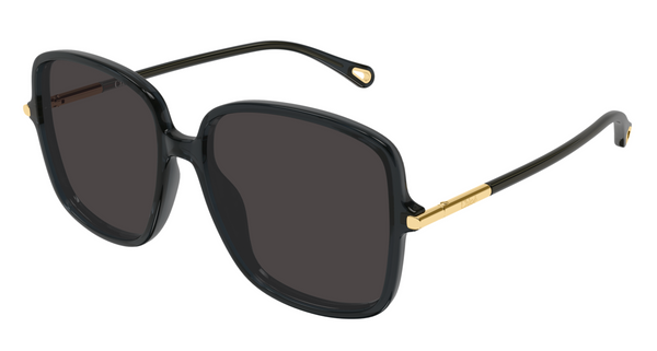 Chloé CH0396S sunglasses