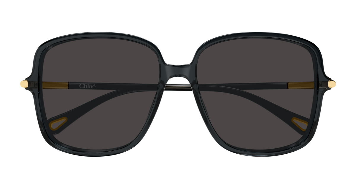 Chloé CH0396S sunglasses