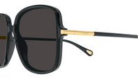 Chloé CH0396S sunglasses