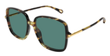 Chloé CH0396S sunglasses