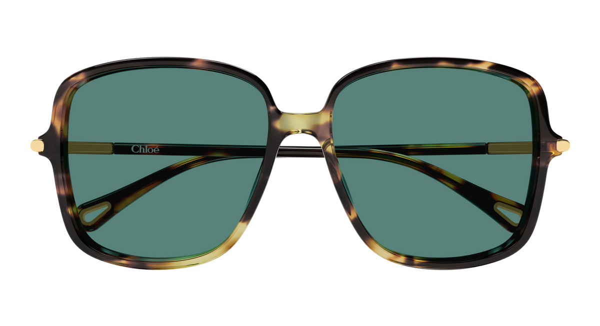 Chloé CH0396S sunglasses
