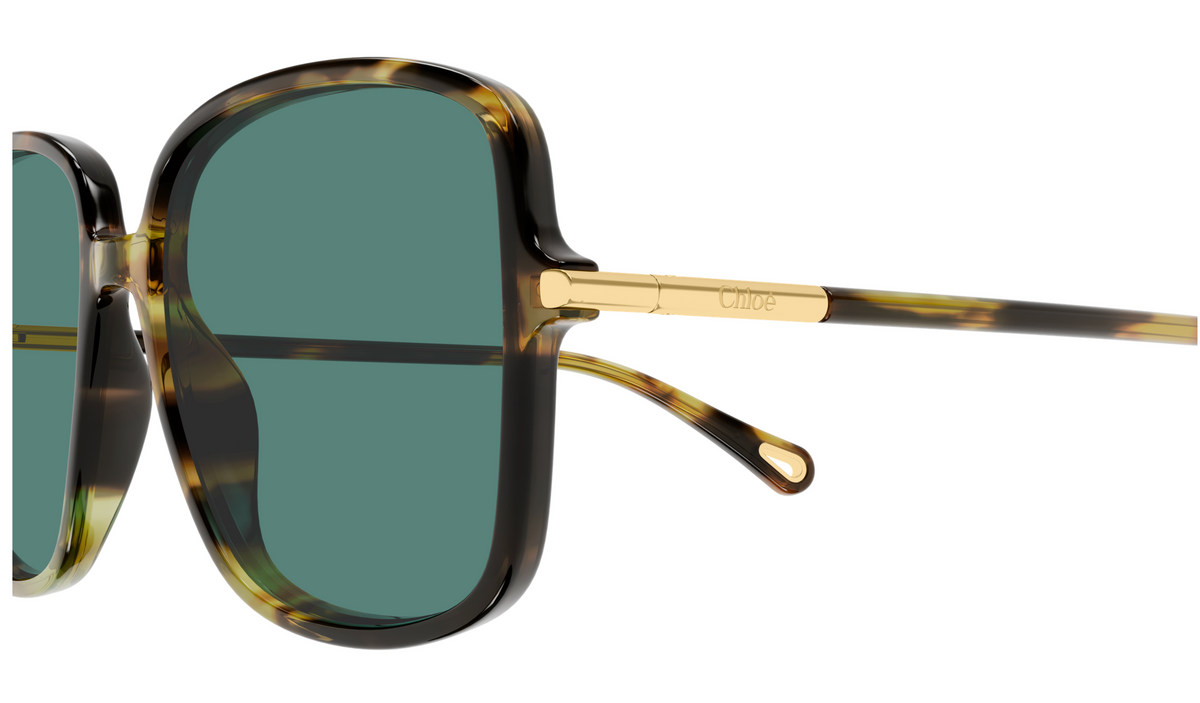 Chloé CH0396S sunglasses