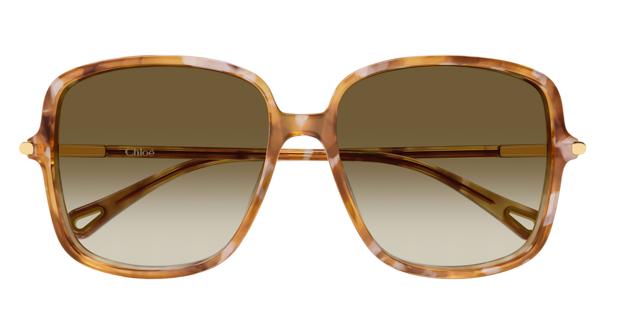 Chloé CH0396S sunglasses