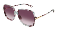Chloé CH0396S sunglasses