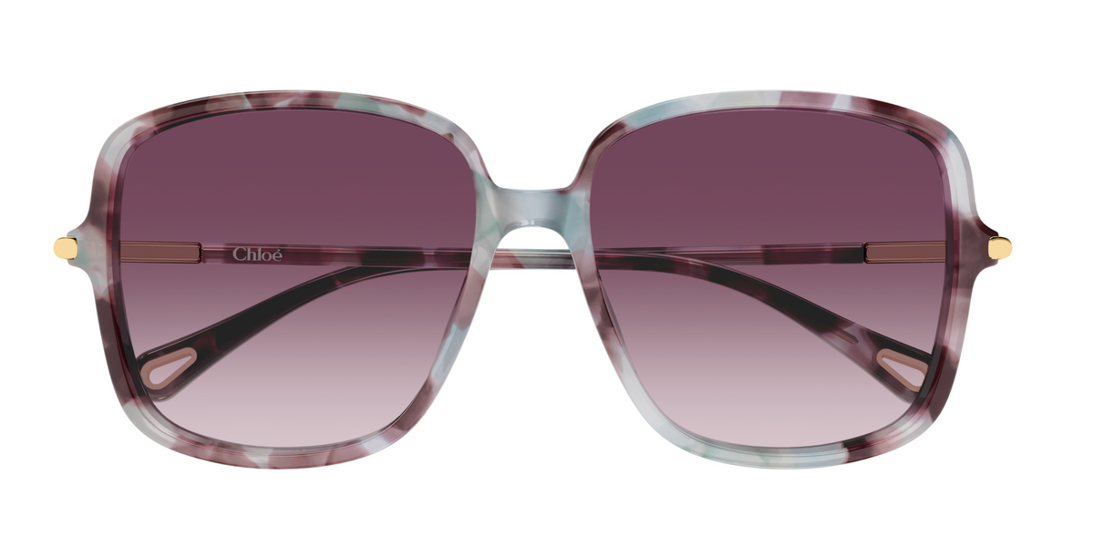 Chloé CH0396S sunglasses