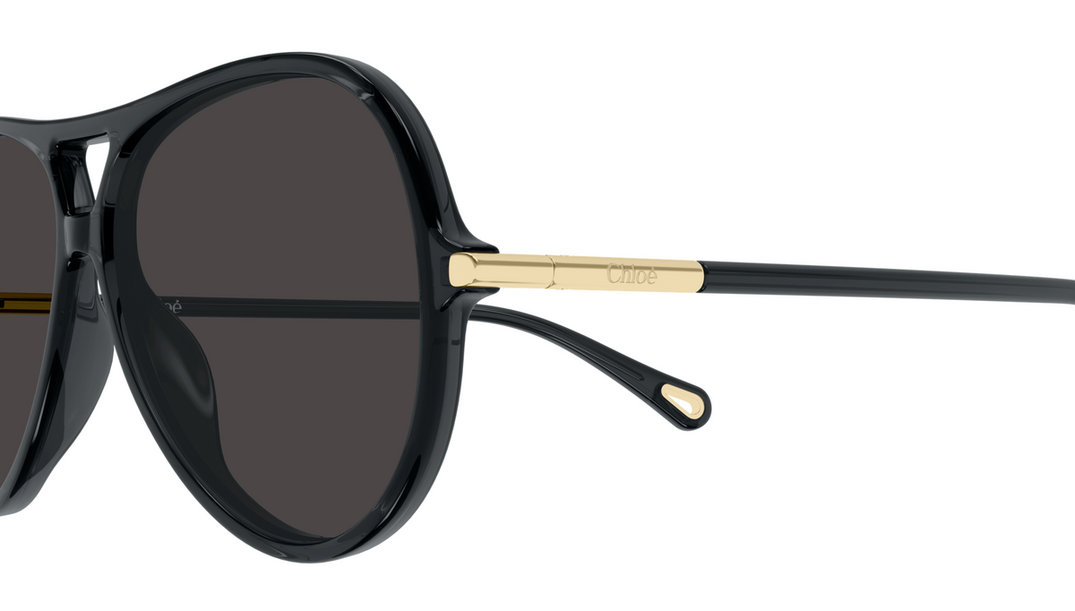 Chloé CH0395S sunglasses