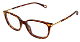Chloé CH0400O optical glasses