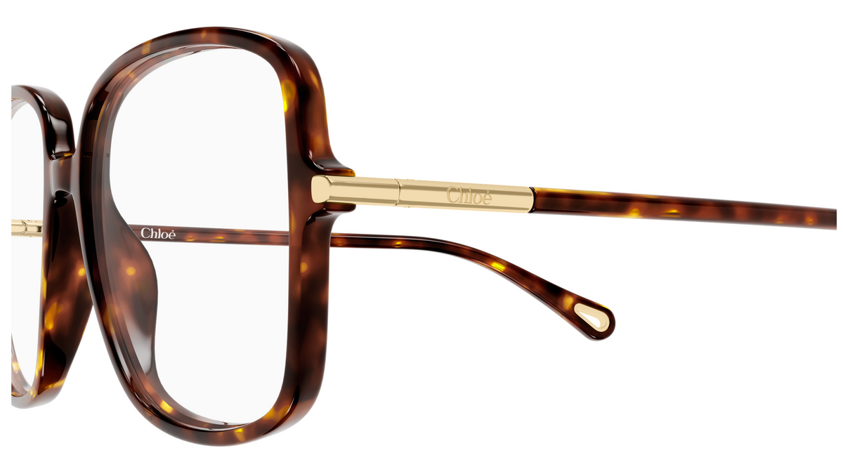 Chloé CH0399O glasses