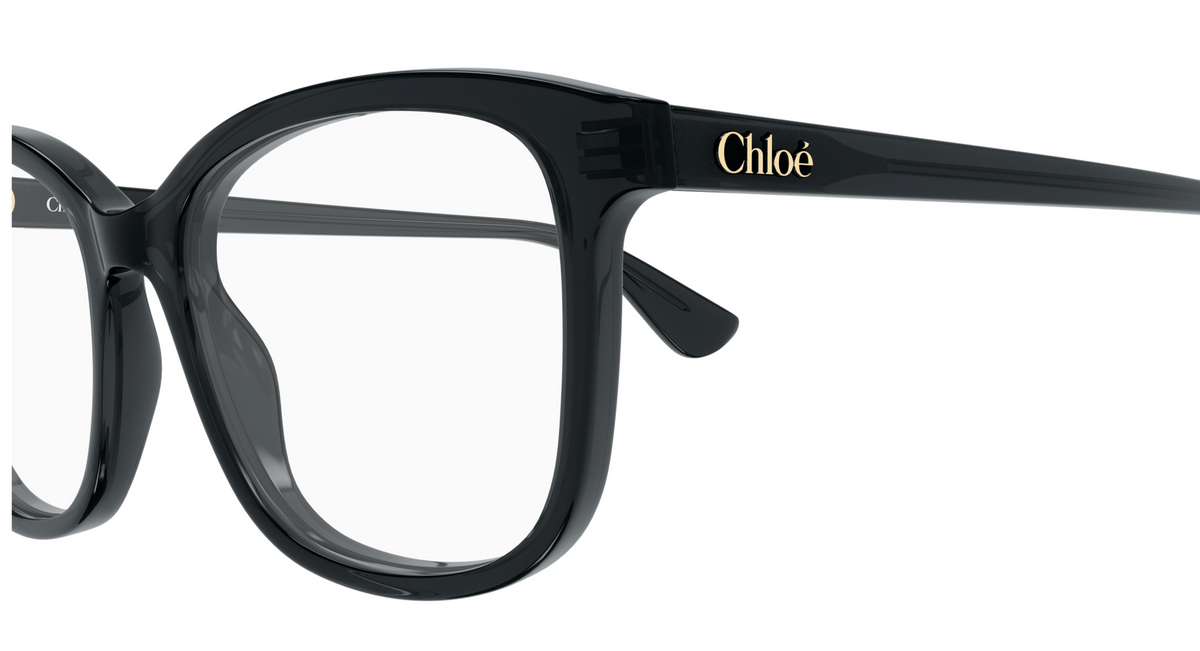 Chloé CH0393O optical glasses