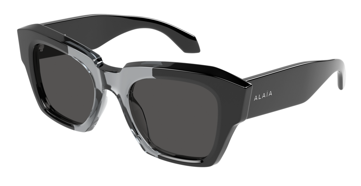 Azzedine Alaïa AA0103S sunglasses