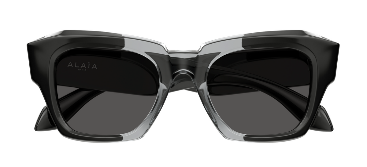 Azzedine Alaïa AA0103S sunglasses