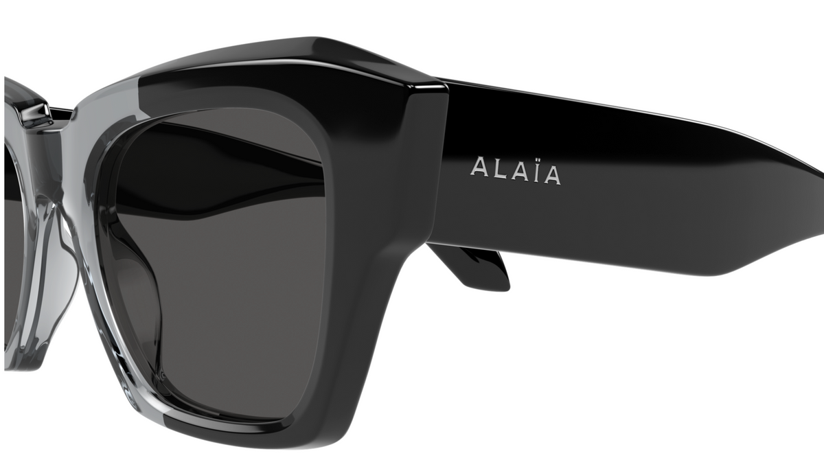 Azzedine Alaïa AA0103S sunglasses