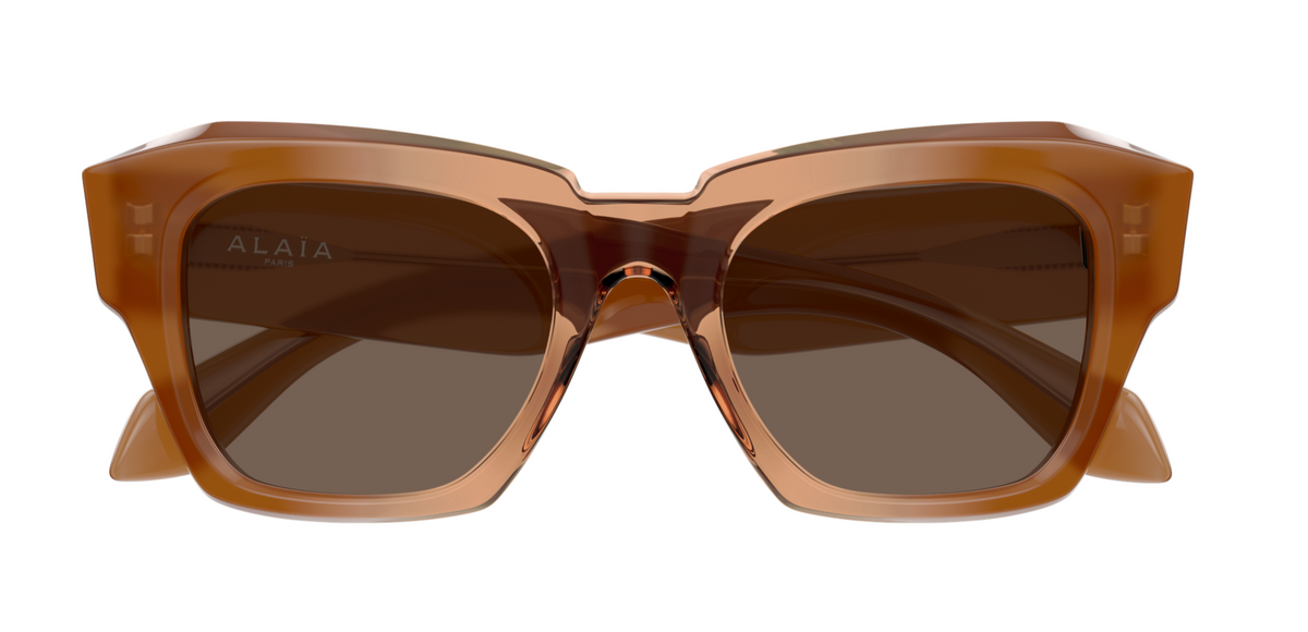 Azzedine Alaïa AA0103S sunglasses