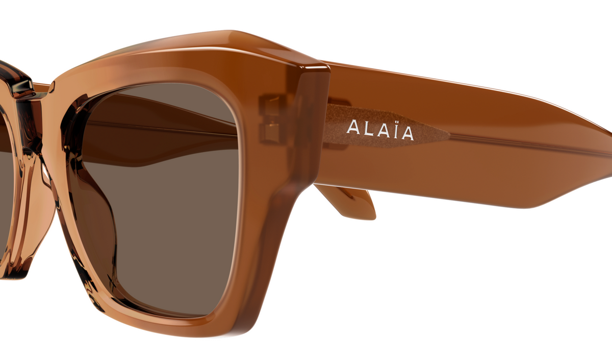 Azzedine Alaïa AA0103S sunglasses