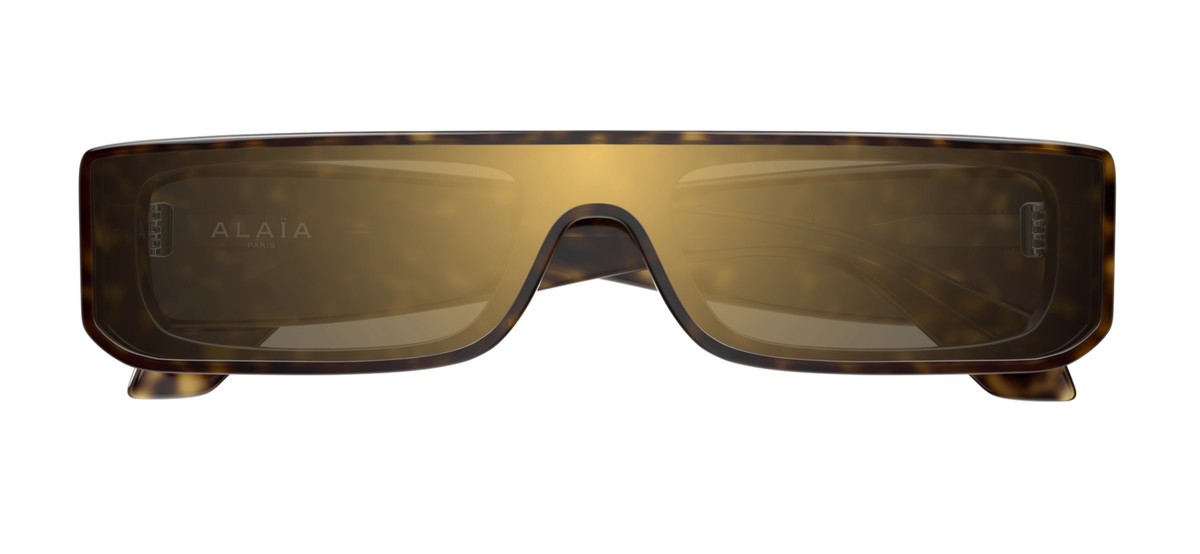 Azzedine Alaïa AA0105S sunglasses