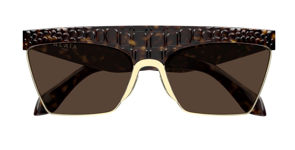 Azzedine Alaïa AA0106S Sunglasses