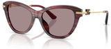 Gafas de sol Dolce&Gabbana DG4534