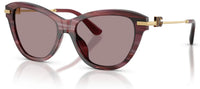 Gafas de sol Dolce&Gabbana DG4534