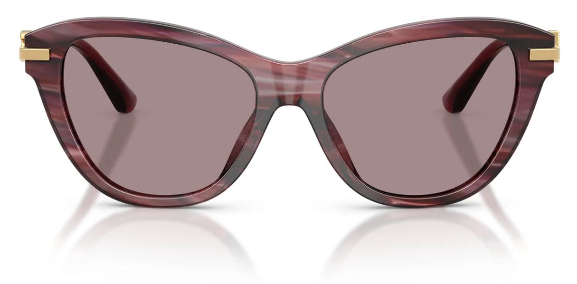Gafas de sol Dolce&Gabbana DG4534
