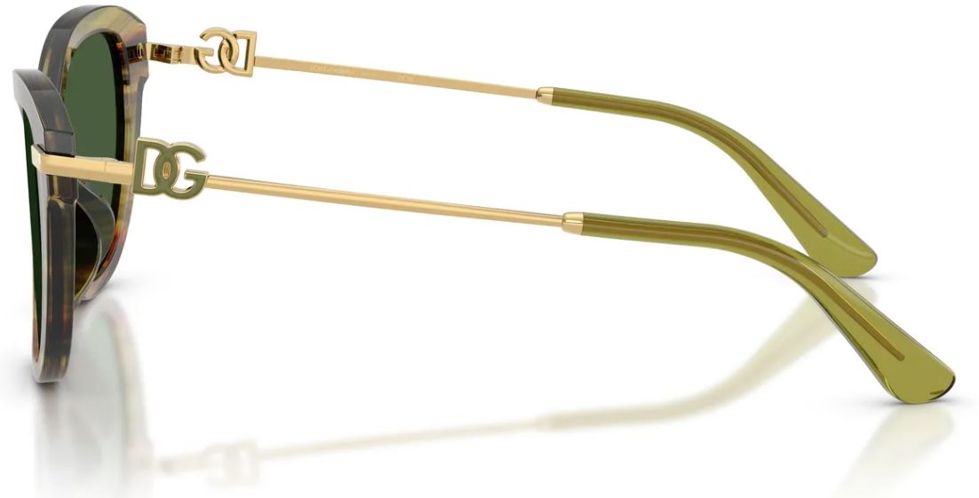 Gafas de sol Dolce&Gabbana DG4534