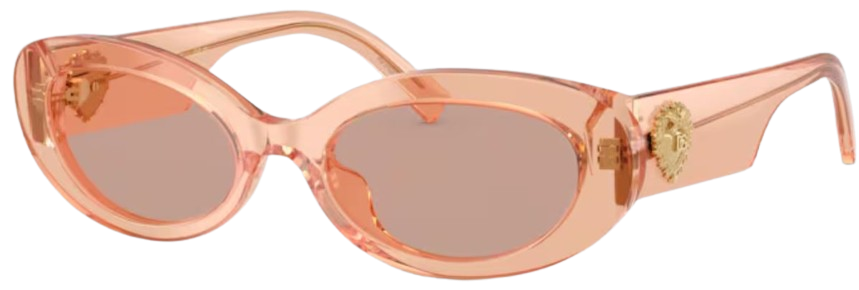 Gafas de Sol Dolce & Gabbana DG4537