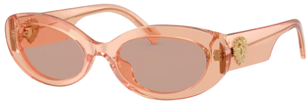 Gafas de Sol Dolce & Gabbana DG4537