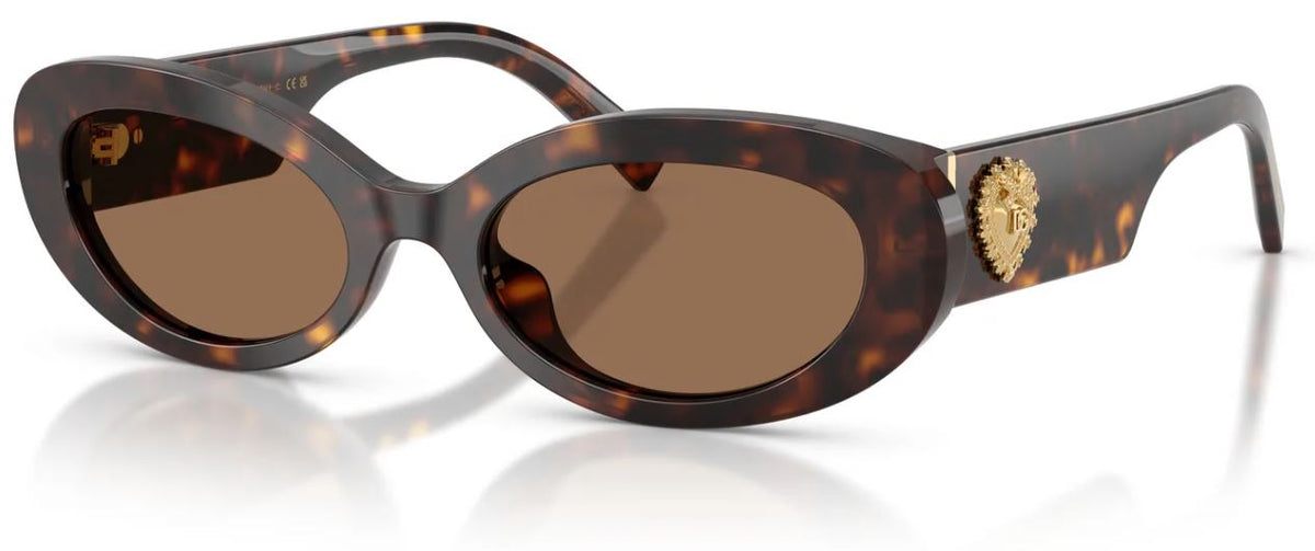 Gafas de Sol Dolce & Gabbana DG4537