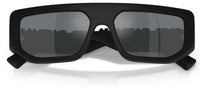 Dolce&Gabbana DG6203 sunglasses